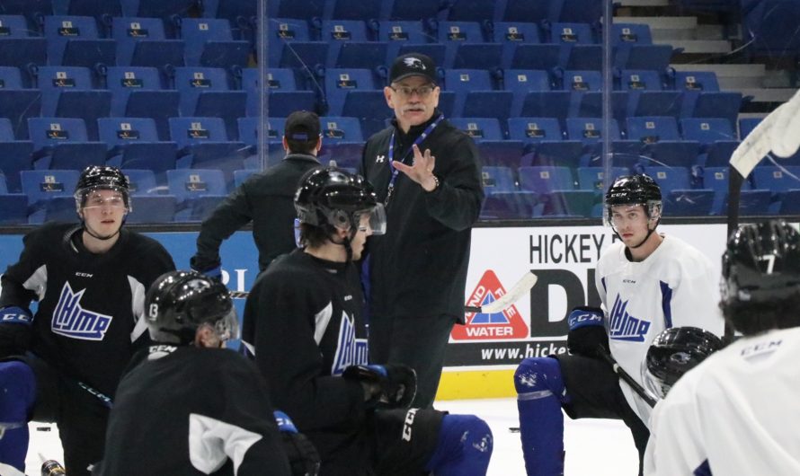 Gardiner MacDougall est officiellement nommé entraîneur-chef des Sea Dogs de Saint John