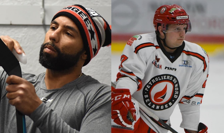 Les Pétroliers du Nord confirment le retour de Matthew Medley et Dominic Talbot-Tassi