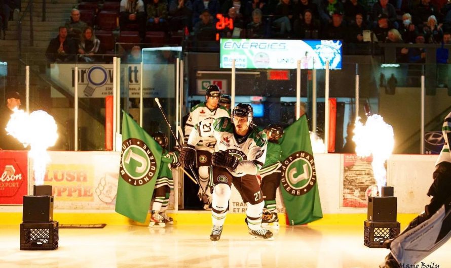 LNAH en vrac : semaine du 14 octobre 2022