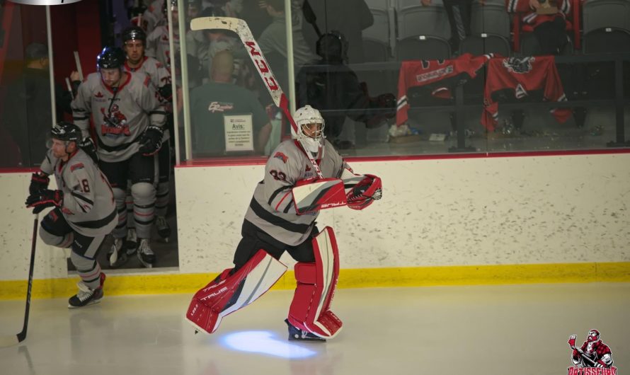 LNAH en vrac : semaine du 4 novembre 2022