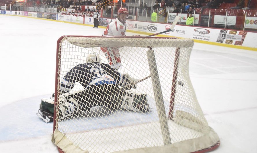 LNAH en vrac : semaine du 11 novembre 2022