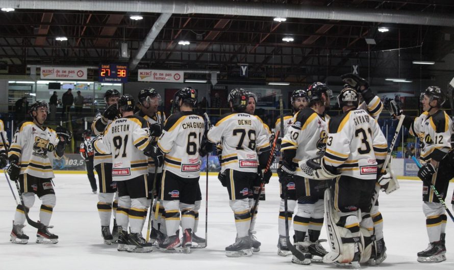 LNAH en vrac : semaine du 10 décembre 2022