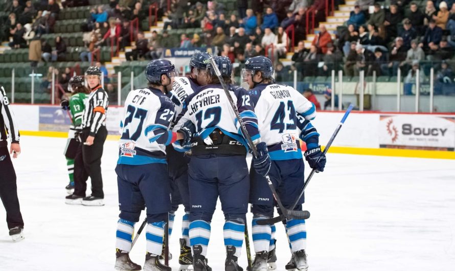 LNAH : trois surprises depuis le début de la saison