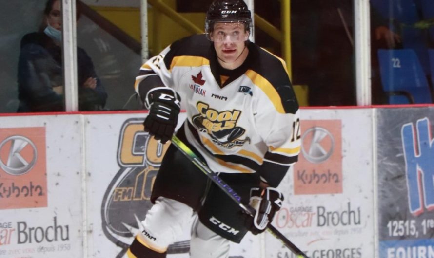 LNAH : trois joueurs qui semblent éclore cette saison