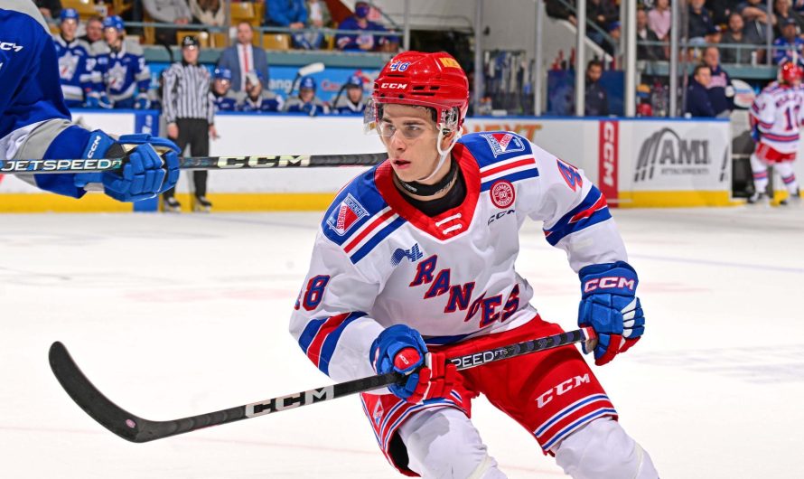 Séquence difficile pour Filip Mesar dans la OHL