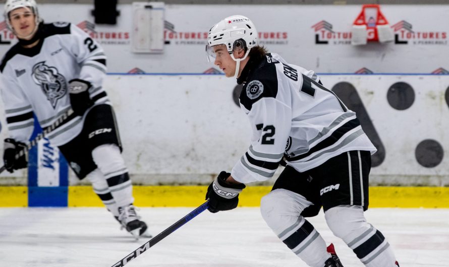 L&rsquo;état des forces dans la LHJMQ