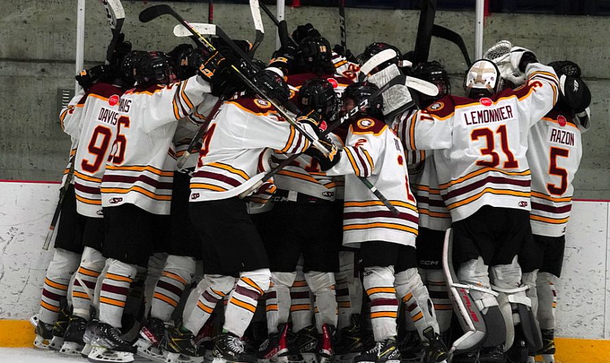 Les champions des séries de division sont maintenant connus