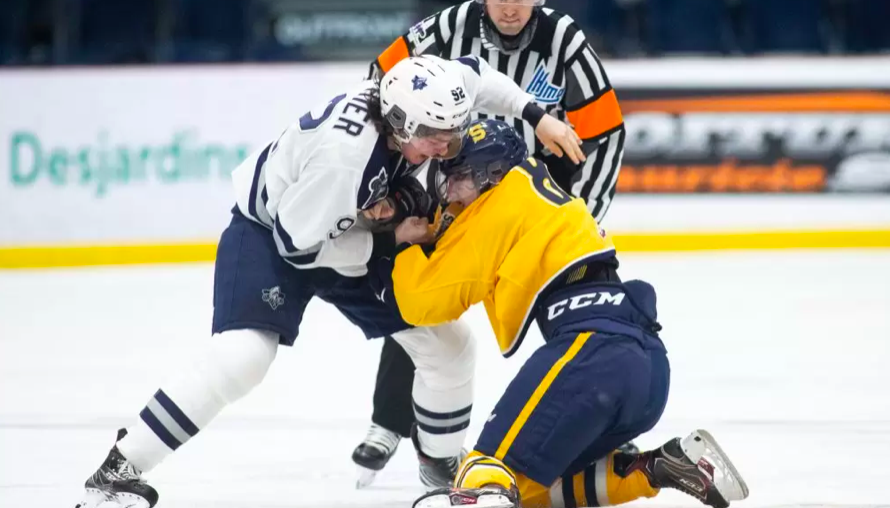 Élimination des bagarres dans la LHJMQ : deux DG de la LNH se prononcent