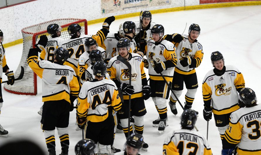 Les Cobras accèdent à la demi-finale de la LHJAAAQ