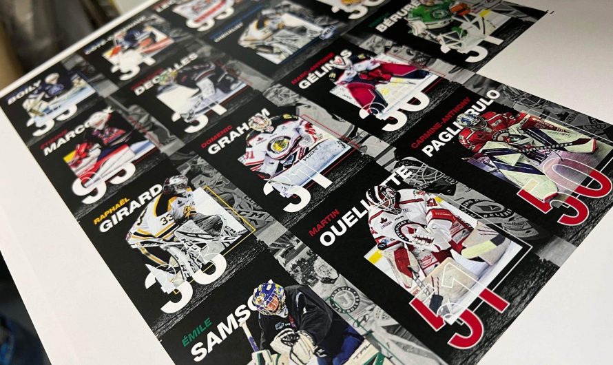 Les cartes de la LNAH seront disponibles en magasin