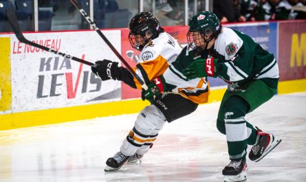 Les Forestiers d'Amos