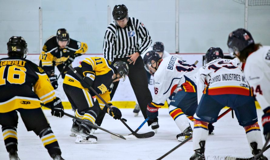 Les Cobras de Terrebonne affronteront le Titan de Princeville