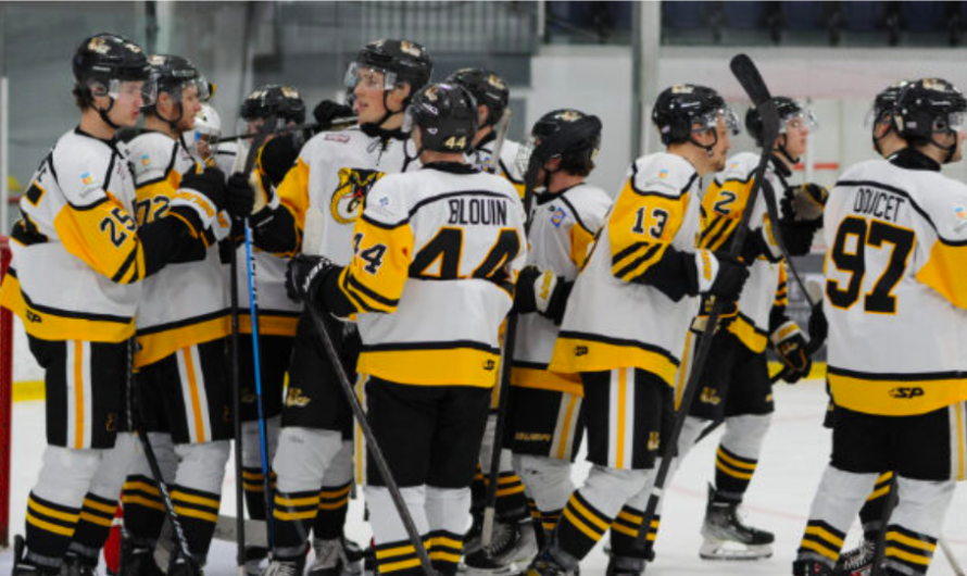LHJAAAQ : Les Cobras éliminent le Titan et se qualifient pour la finale