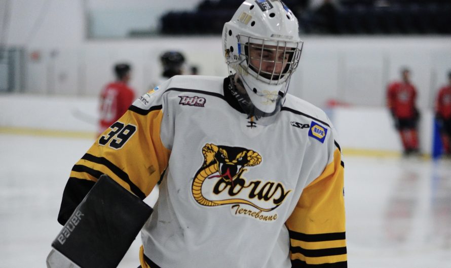 Alexandre Marchand, nommé gardien de l’année dans la LHJC