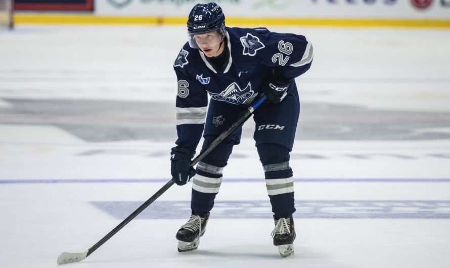 Top 15 des meilleurs espoirs de la LHJMQ 2023 – #11 Jan Sprynar