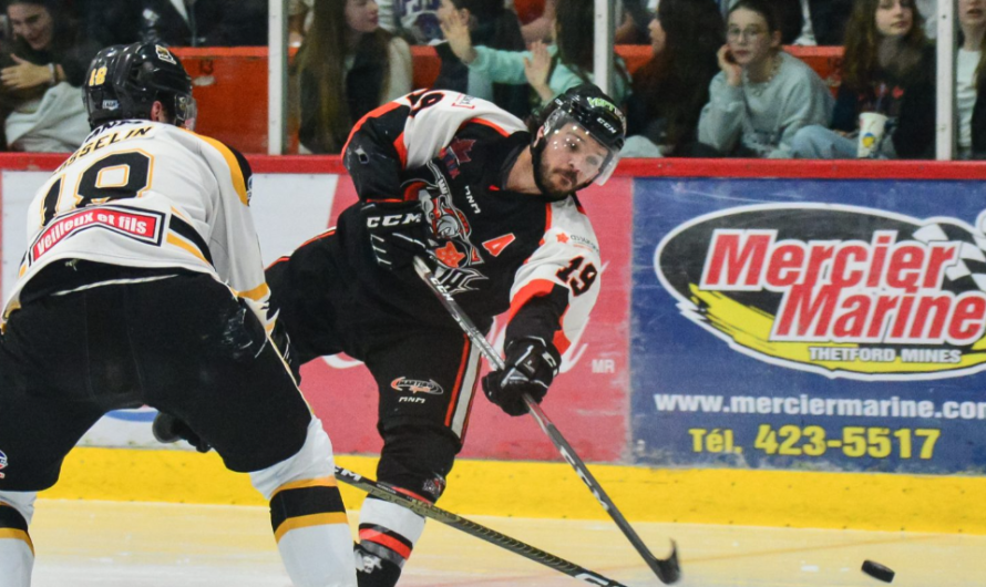 Simulation LNAH J18 : l&rsquo;Assurancia force un match 6