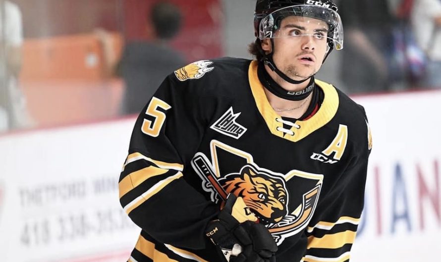 Top 15 des meilleurs espoirs de la LHJMQ – Mentions honorables
