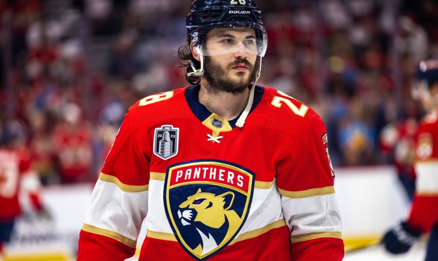 Les Panthers de la Floride sont de retour dans la série