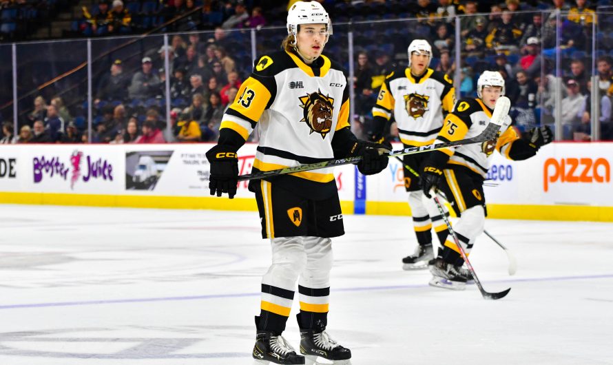 Le Canadien repêche le frère d’Arber Xhekaj