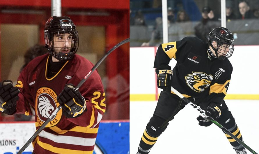 Transaction importante entre Montréal et Gatineau dans la LHJAAAQ