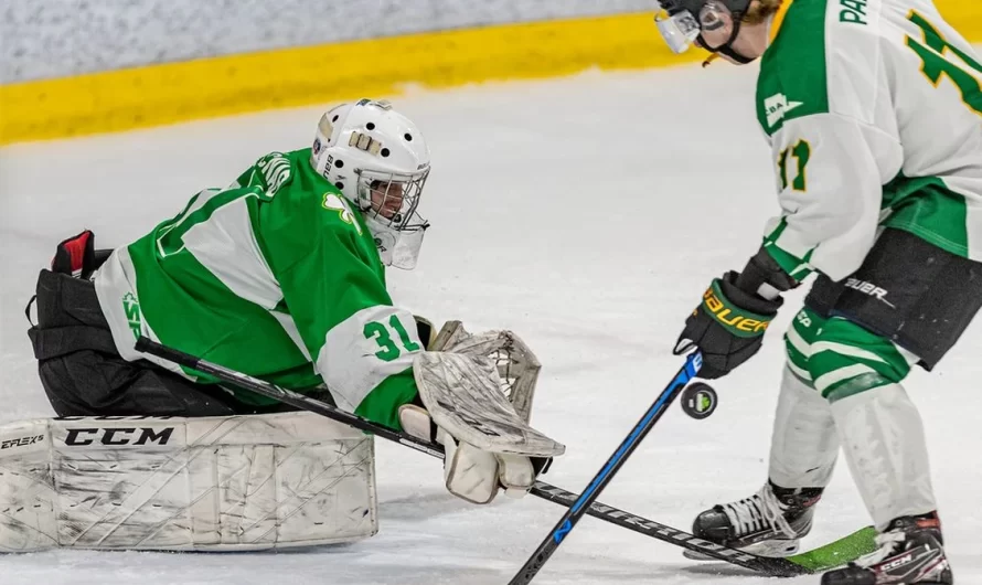 Les Lions invitent un ancien dynamo offensif des Condors