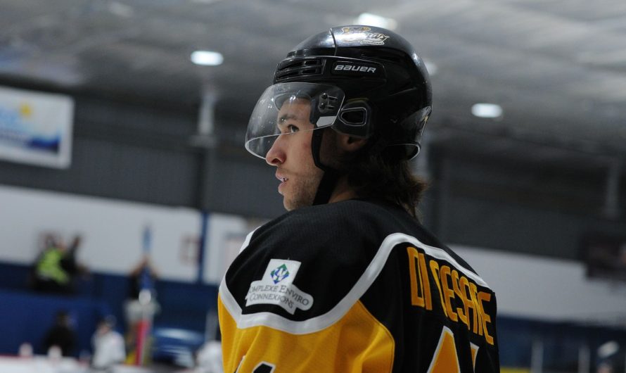 Les Braves de Valleyfield se paient le deuxième pointeur de la LHJAAAQ