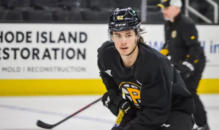 Frédéric Brunet a convaincu les Bruins