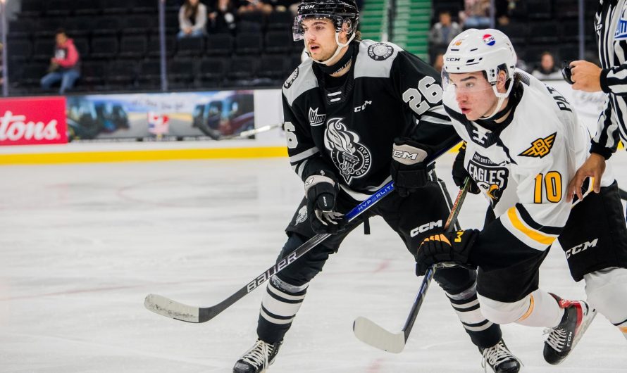 C&rsquo;est fini à Gatineau pour Ryan Del Monte