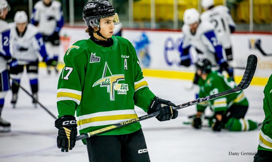 Tomas Cibulka quitte pour le Cap-Breton