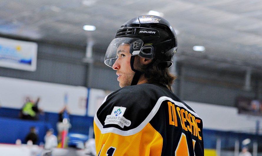 Échange important entre les Cobras de Terrebonne et les Braves de Valleyfield