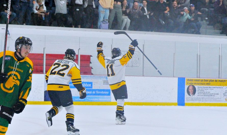 Anthony Di Cesare est le joueur de l&rsquo;heure dans la LHJAAAQ