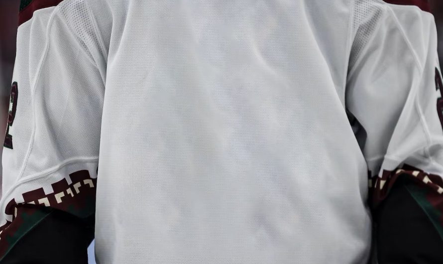 La nouvelle équipe de la LNH en Utah pourrait avoir trouvé son nom