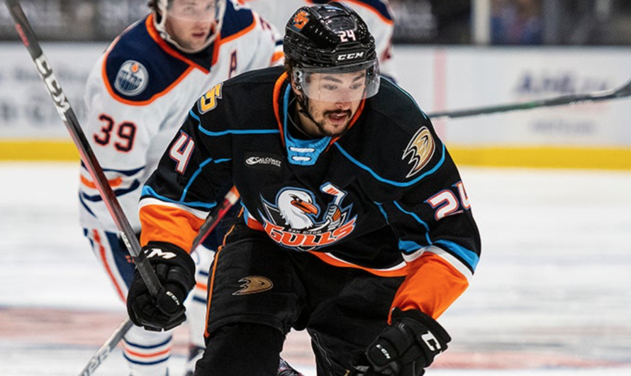 C&rsquo;est terminé pour Benoit-Olivier Groulx avec les Ducks