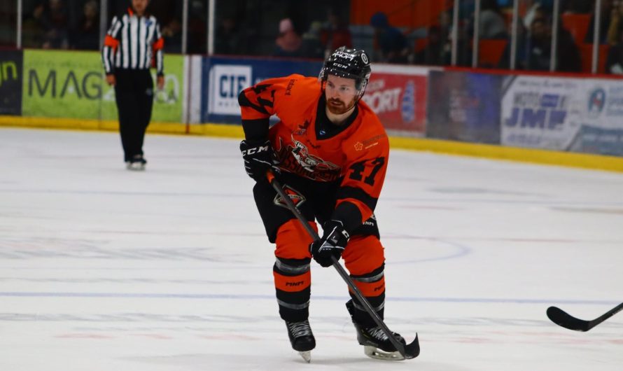 Les équipes d&rsquo;expansion de la LNAH repêchent leurs 12 premiers joueurs