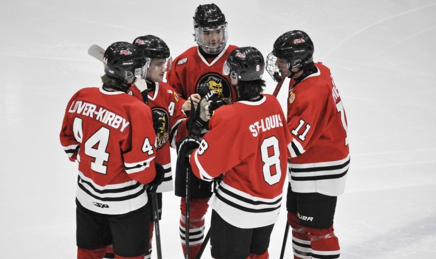 Plusieurs camps d&rsquo;essai chez les équipes de la LHJAAAQ