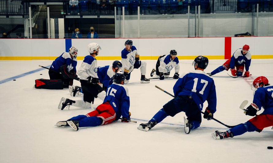 Le camp d’entraînement des Lions de Trois-Rivières débute