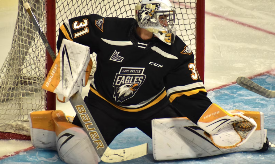 CMJ 2025 : la Tchéquie invite deux joueurs de la LHJMQ