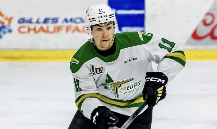 Les Eagles du Cap-Breton font l’acquisition d’Alexandre Guy