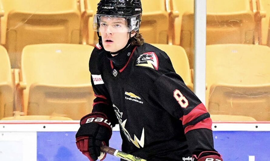 Les Tigres de Victoriaville signent un défenseur américain