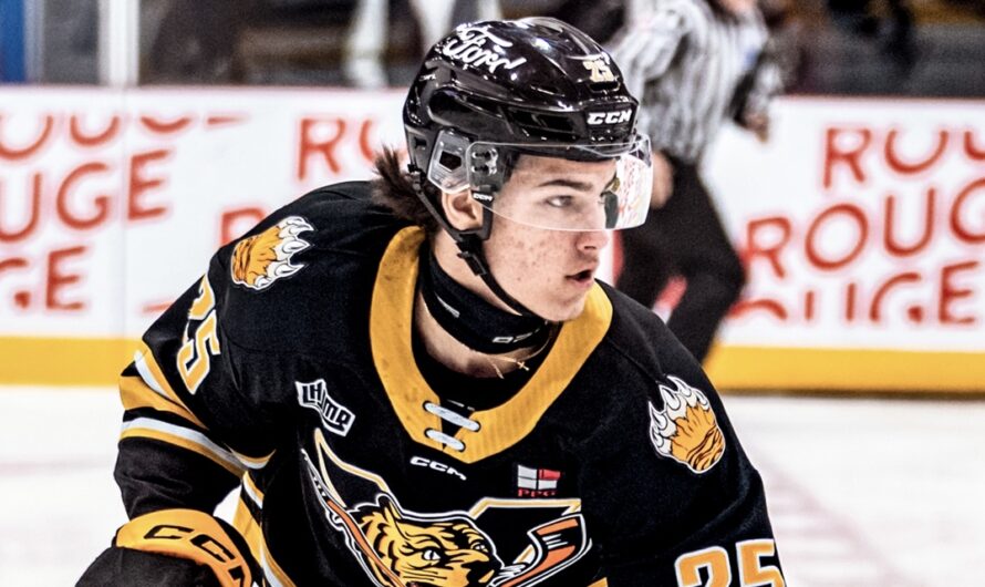 Plusieurs espoirs de la LHJMQ invités aux camps de la LNH