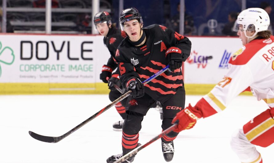 L&rsquo;Armada de Blainville-Boisbriand va chercher Vincent Collard