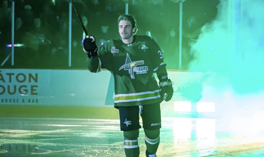 Le Drakkar met la main sur l’attaquant Adam Cavallin
