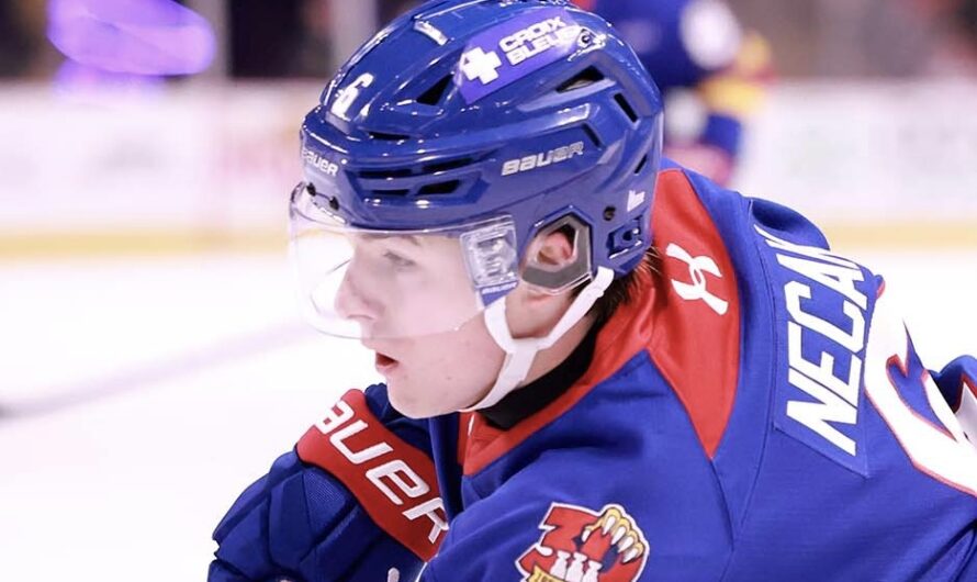 Dominik Necak s&rsquo;amène avec les Tigres de Victoriaville