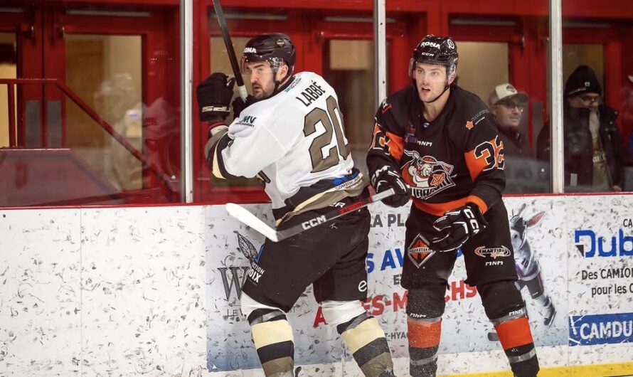 Le carré d&rsquo;as désormais connu dans LNAH