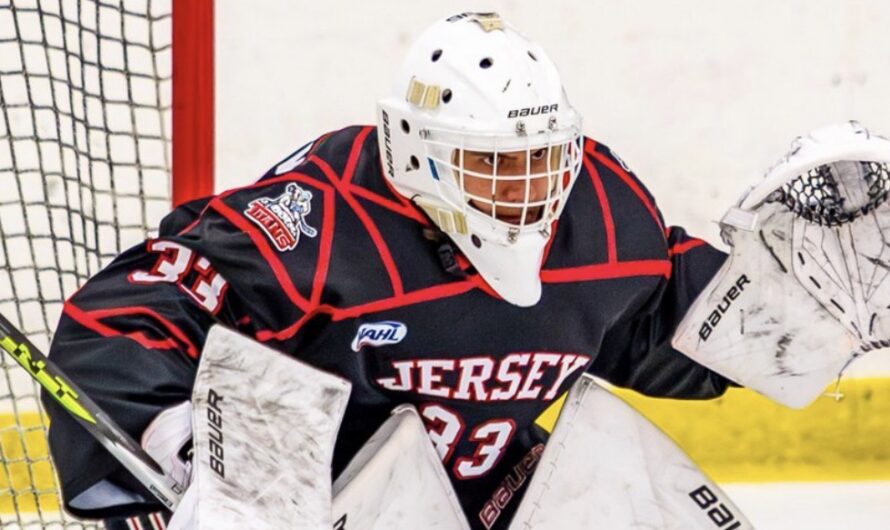 Les Tigres de Victoriaville mettent sous contrat le gardien Andrei Nikolayev