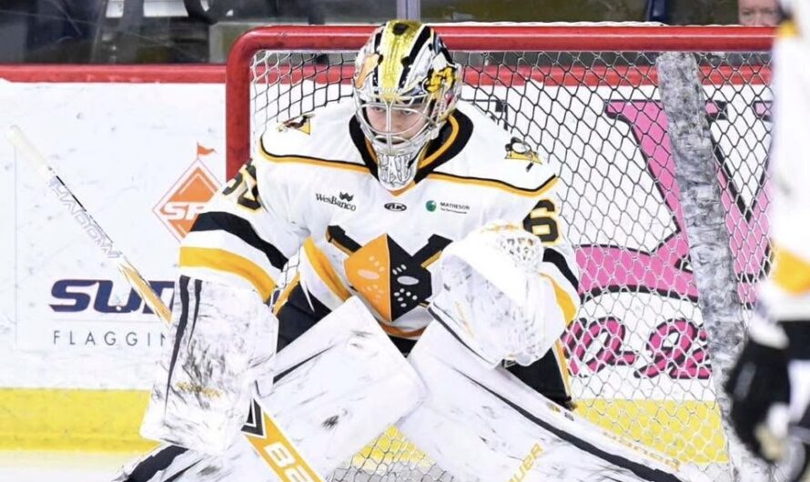 Gabriel D’Aigle rejoint les Everblades de la Floride