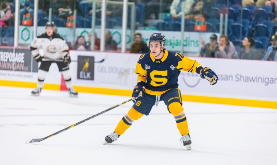 Chad Lygitsakos devient le 36e capitaine de l’histoire des Cataractes