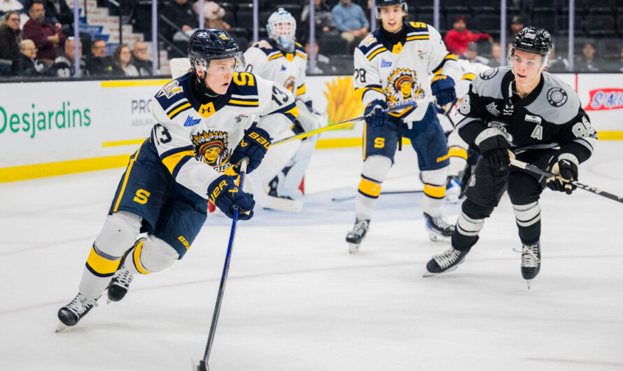 Les Cataractes échappent la match en troisième période