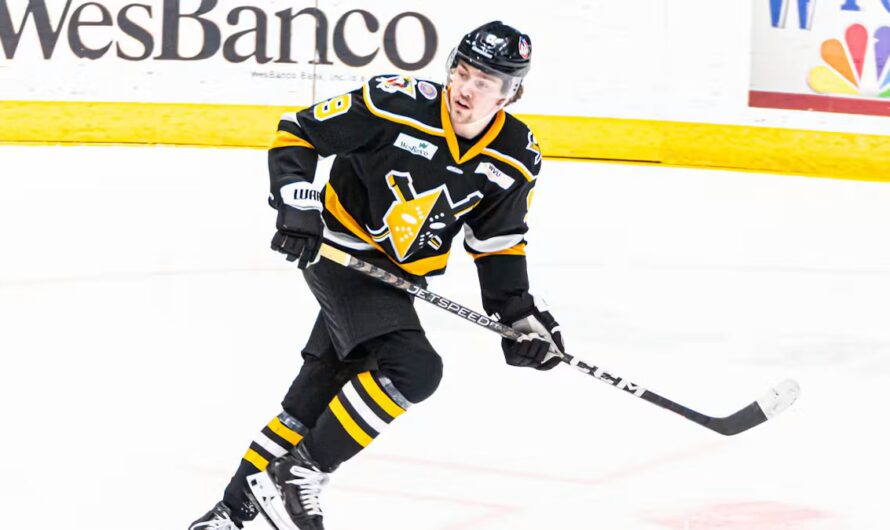 Brooklyn Kalmikov se joint aux Lions de Trois-Rivières